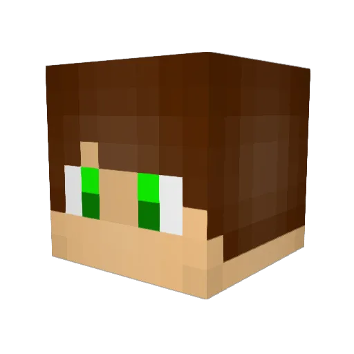 gustawitz Minecraft avatar head, 3D render