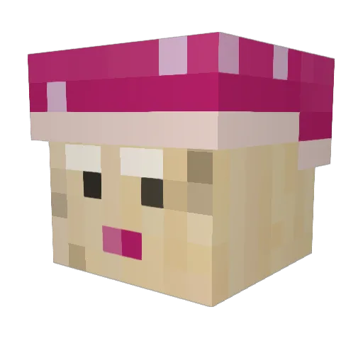 gutatu Minecraft avatar head, 3D render