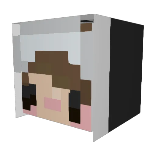 guydylan Minecraft avatar head, 3D render