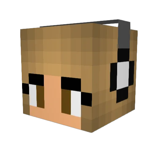 guyonphone Minecraft avatar head, 3D render