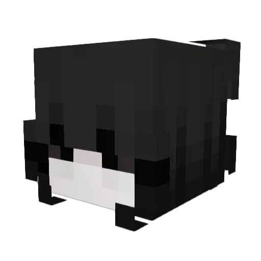 gvrlcide Minecraft avatar head, 3D render