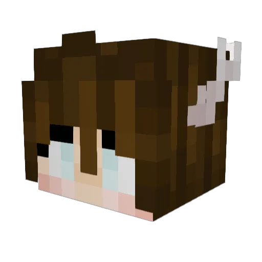 gw3mb Minecraft avatar head, 3D render