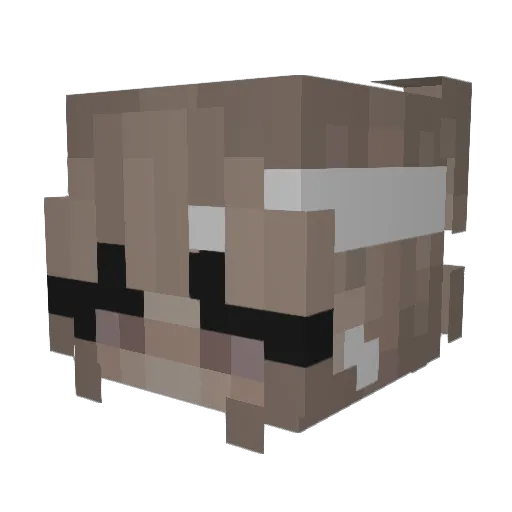 gwannnn Minecraft avatar head, 3D render