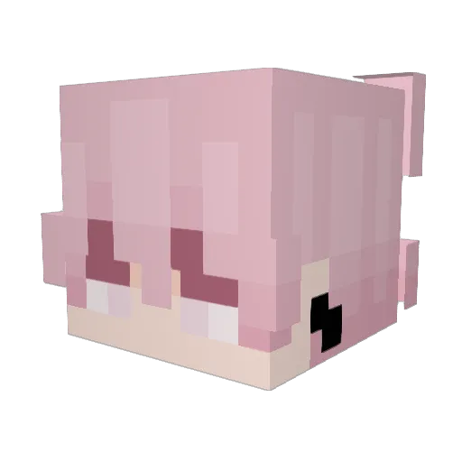 gwendoo Minecraft avatar head, 3D render