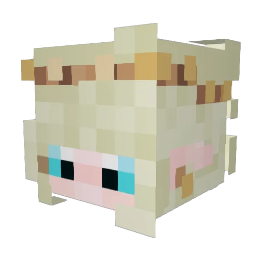gwenniebee Minecraft avatar head, 3D render