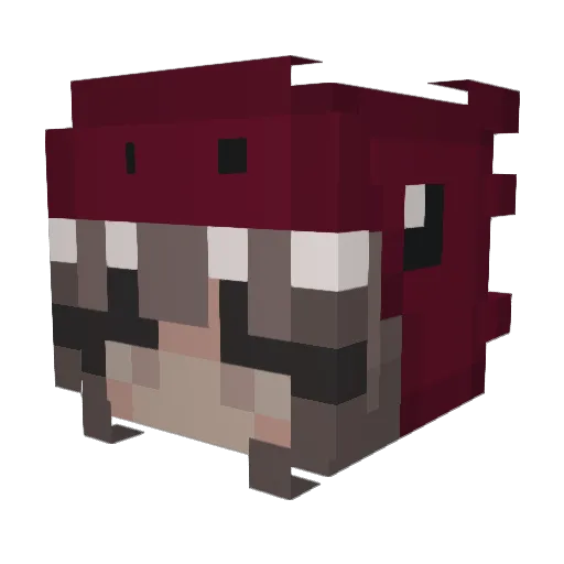 gwitxhd Minecraft avatar head, 3D render