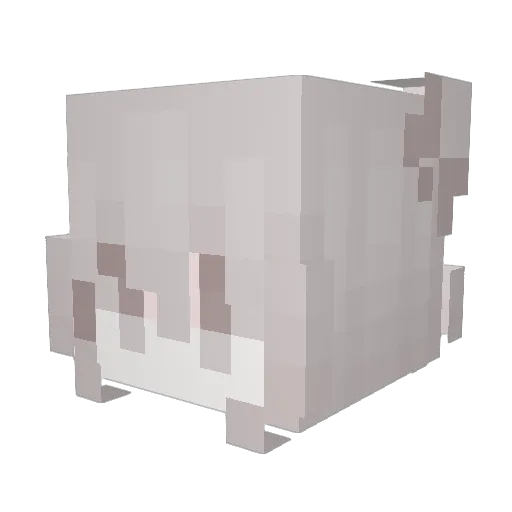 gwoss Minecraft avatar head, 3D render