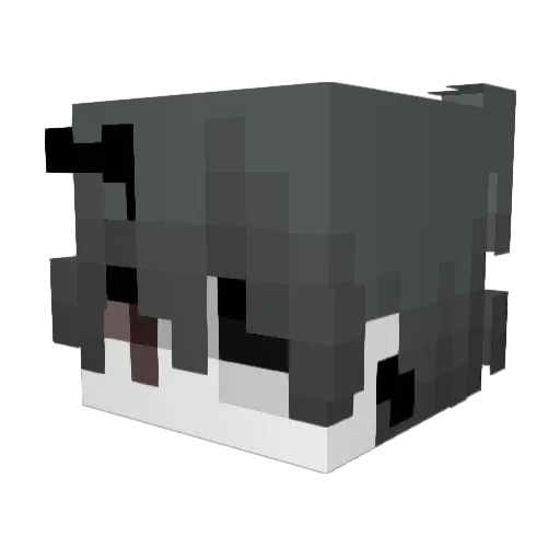 gwrimoire Minecraft avatar head, 3D render