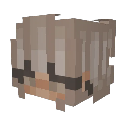 gwsgabi Minecraft avatar head, 3D render