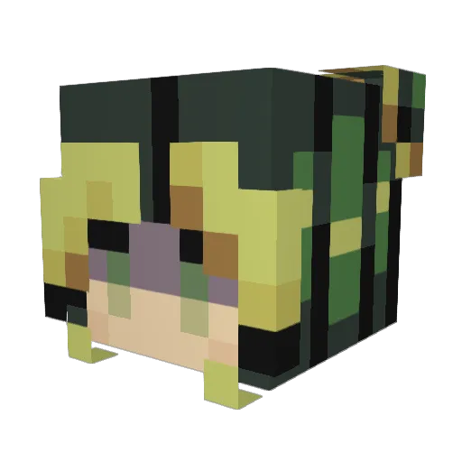 gxxngarr Minecraft avatar head, 3D render