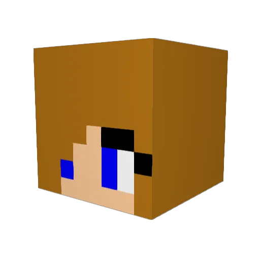 gymnast2005 Minecraft avatar head, 3D render
