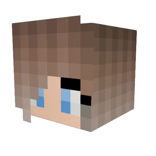 gymnastmads Minecraft avatar head, 3D render