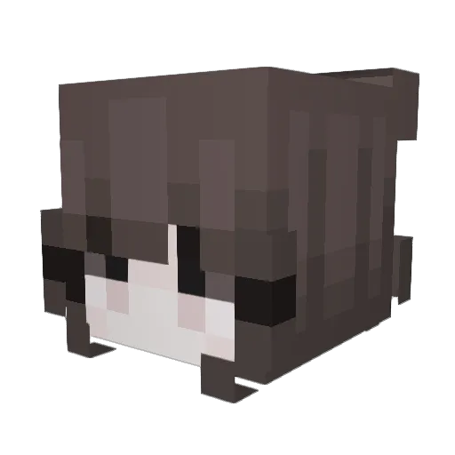 gyorei1 Minecraft avatar head, 3D render