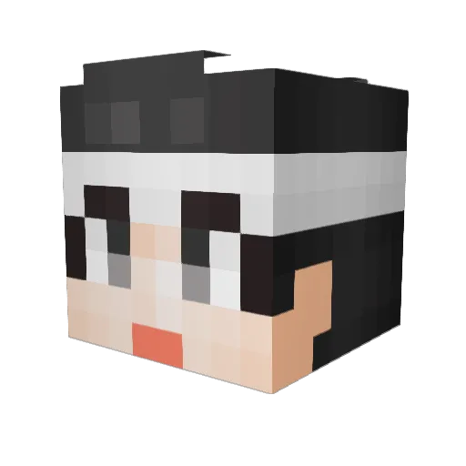 gyro1232 Minecraft avatar head, 3D render