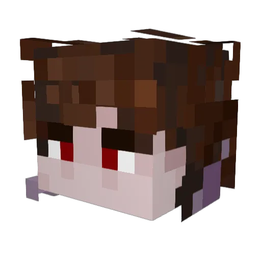 gyruss522 Minecraft avatar head, 3D render