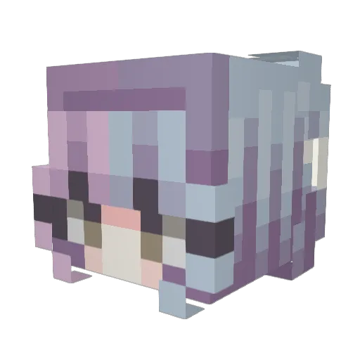 gyunyuu_ Minecraft avatar head, 3D render