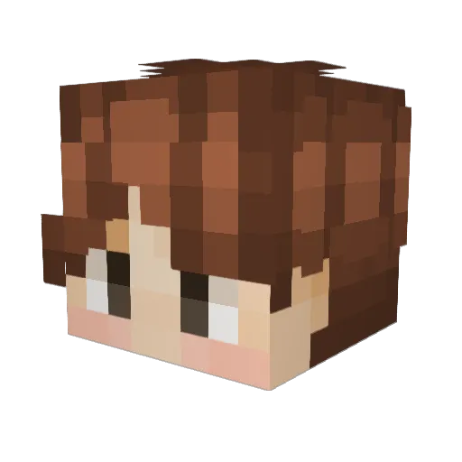 h0eseok Minecraft avatar head, 3D render