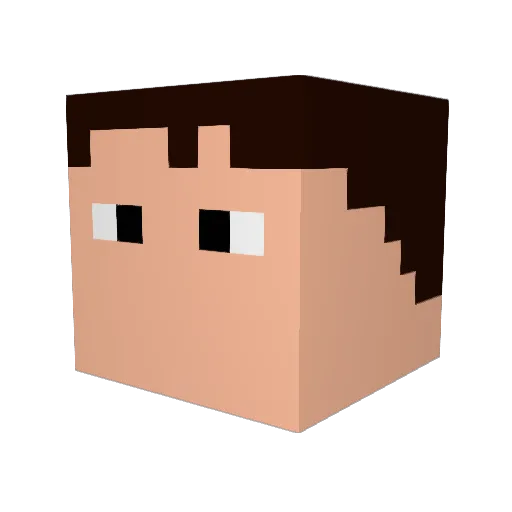 h0lepunch Minecraft avatar head, 3D render