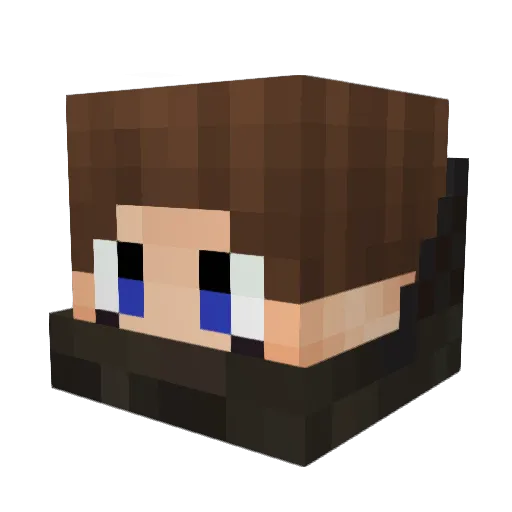 h0me_dep0t Minecraft avatar head, 3D render
