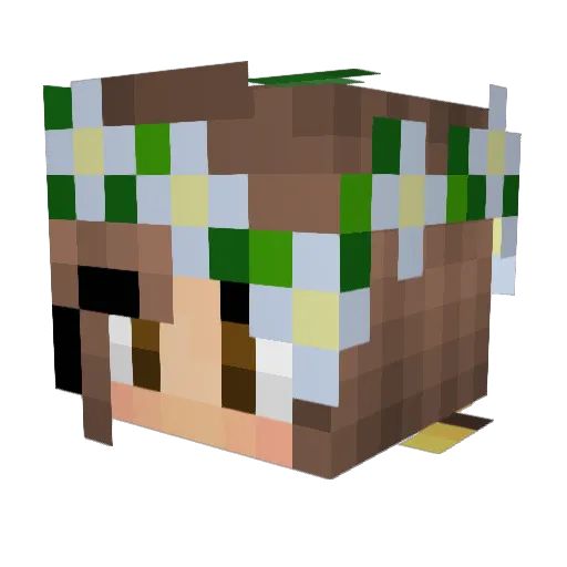 h0neyt0ast Minecraft avatar head, 3D render