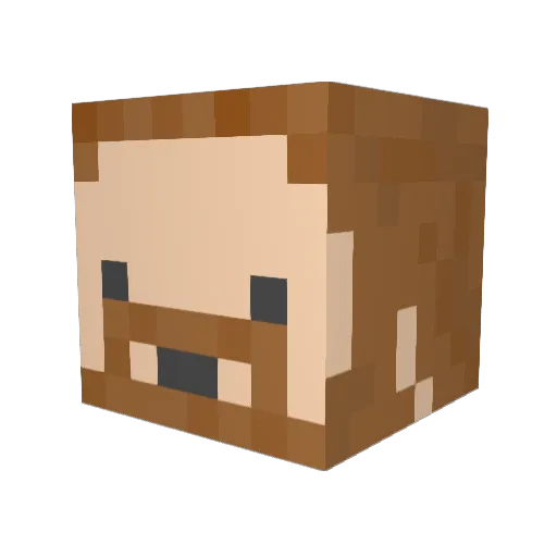 h0oDx Minecraft avatar head, 3D render