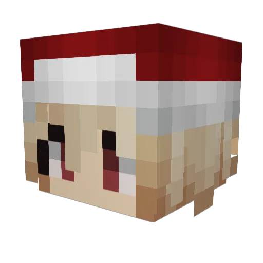 h0pOffaJet Minecraft avatar head, 3D render