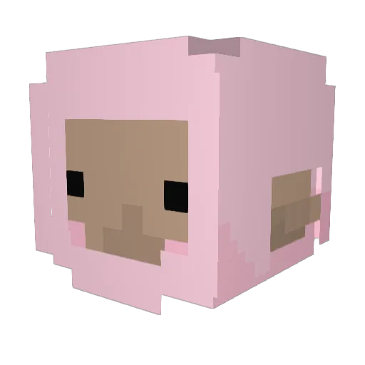 h0t_gurrl609 Minecraft avatar head, 3D render