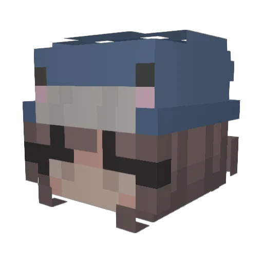 h0tti3_ Minecraft avatar head, 3D render