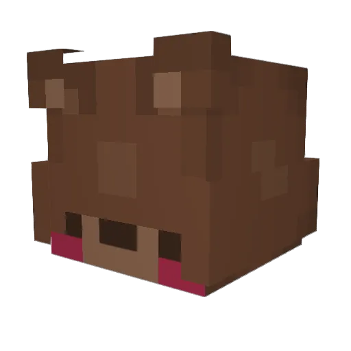 h1b3rnation Minecraft avatar head, 3D render