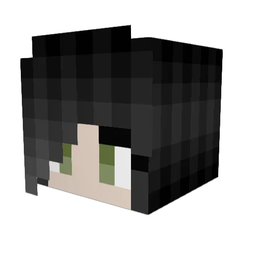 h1biscushell Minecraft avatar head, 3D render