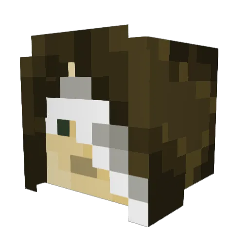 h1ghroller Minecraft avatar head, 3D render