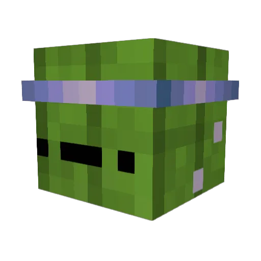 h1h11h1 Minecraft avatar head, 3D render