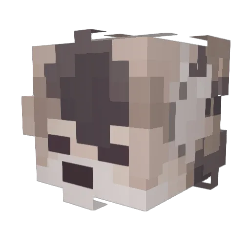 h1llybilly Minecraft avatar head, 3D render