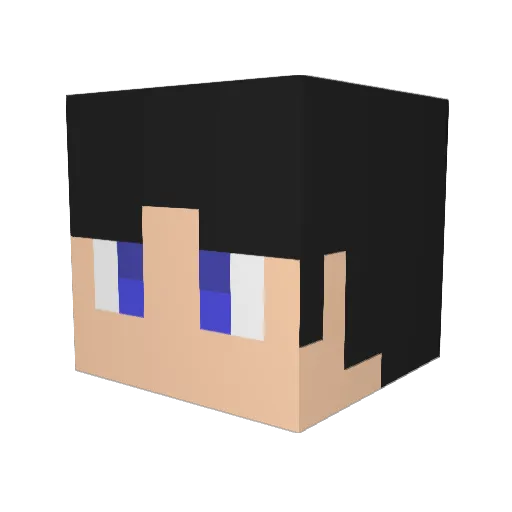 h2890 Minecraft avatar head, 3D render