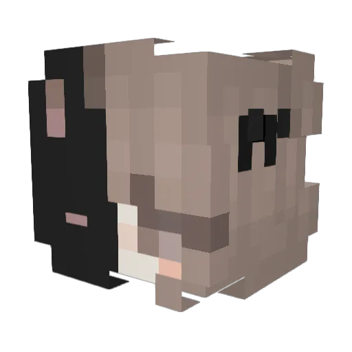 h2ho_ Minecraft avatar head, 3D render