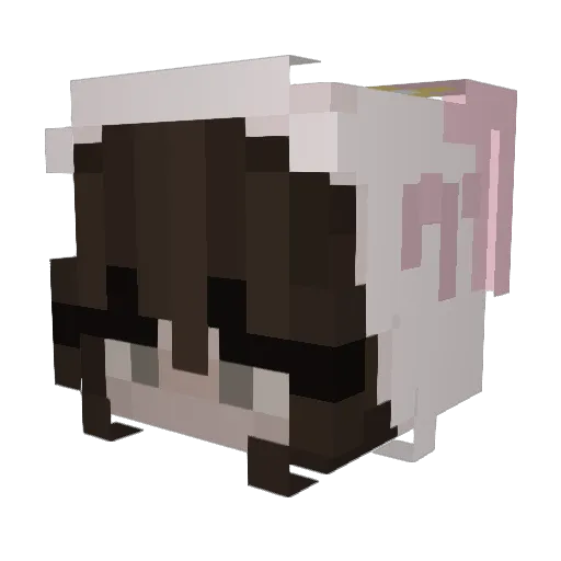 h2llk1tty Minecraft avatar head, 3D render