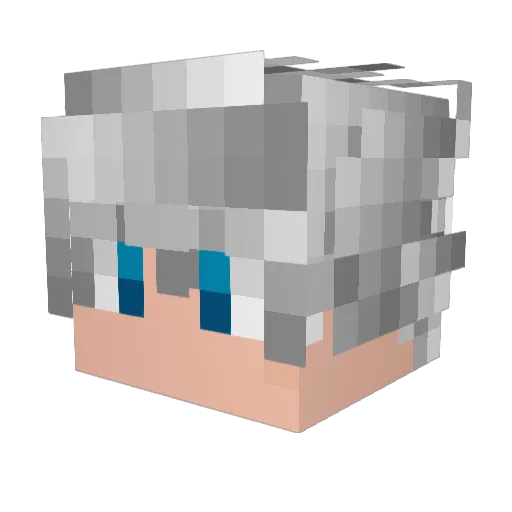 h2opunisher Minecraft avatar head, 3D render