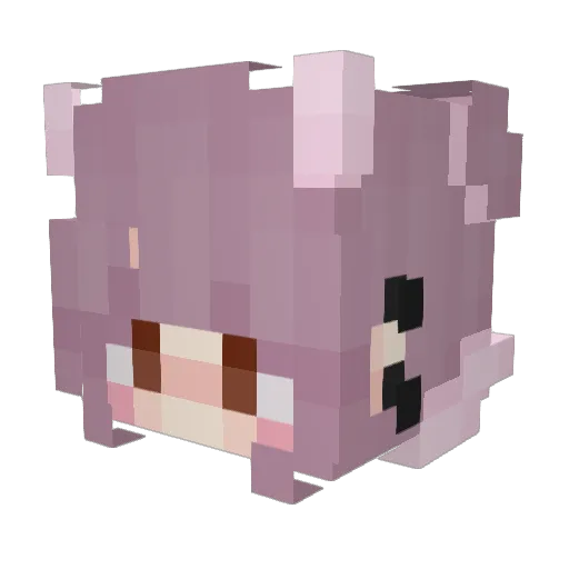 h3110kitty Minecraft avatar head, 3D render
