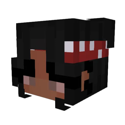 h311ish Minecraft avatar head, 3D render
