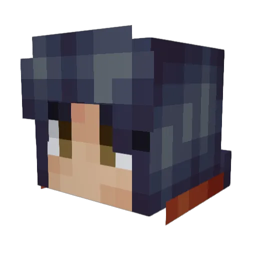 h3althypunk Minecraft avatar head, 3D render