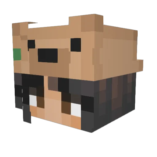 h3bachi Minecraft avatar head, 3D render