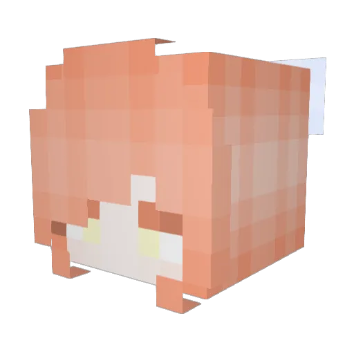 h3ll0aga1n Minecraft avatar head, 3D render