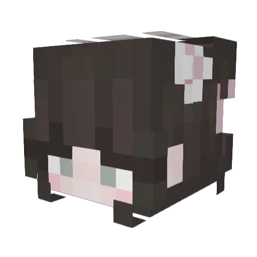 h3llok1tty420 Minecraft avatar head, 3D render