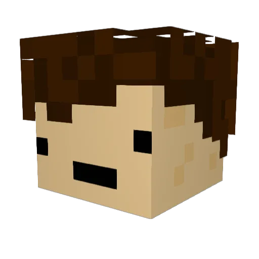 h3yguyc4lcul4t0r Minecraft avatar head, 3D render