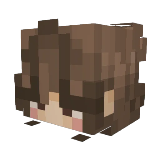 h4is3 Minecraft avatar head, 3D render