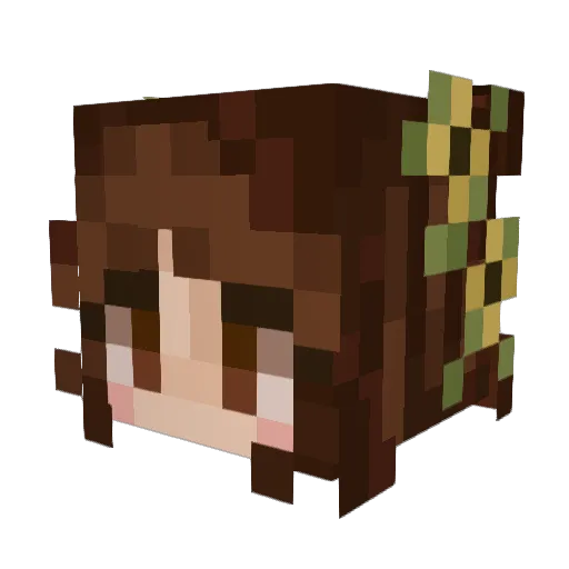 h4mmerBruh Minecraft avatar head, 3D render