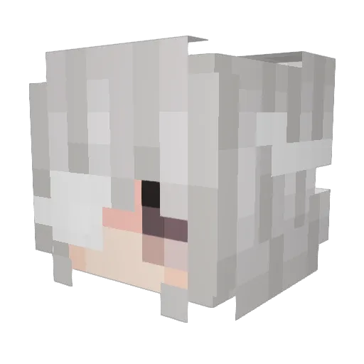 h4sb_ Minecraft avatar head, 3D render