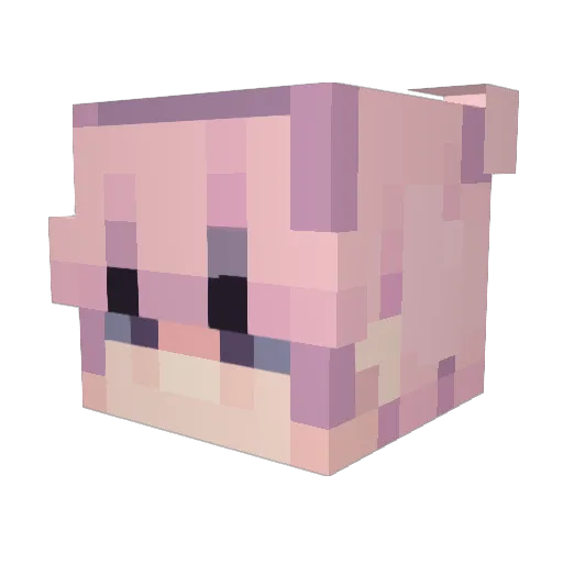 h4sh Minecraft avatar head, 3D render