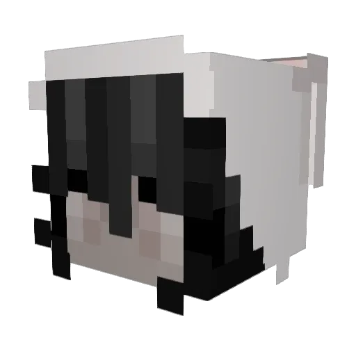 h4tersgetthed2 Minecraft avatar head, 3D render
