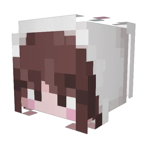 h4yech Minecraft avatar head, 3D render